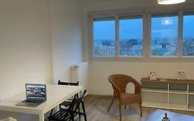 Appartement A Orleans Paisible